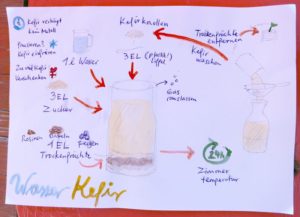 Anleitung zur Herstellung von Wasser-Kefir